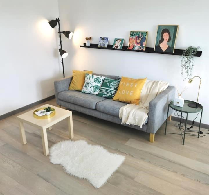 Chic 2Chambres,70M²+Balcon+Parking+Wifi ナント エクステリア 写真
